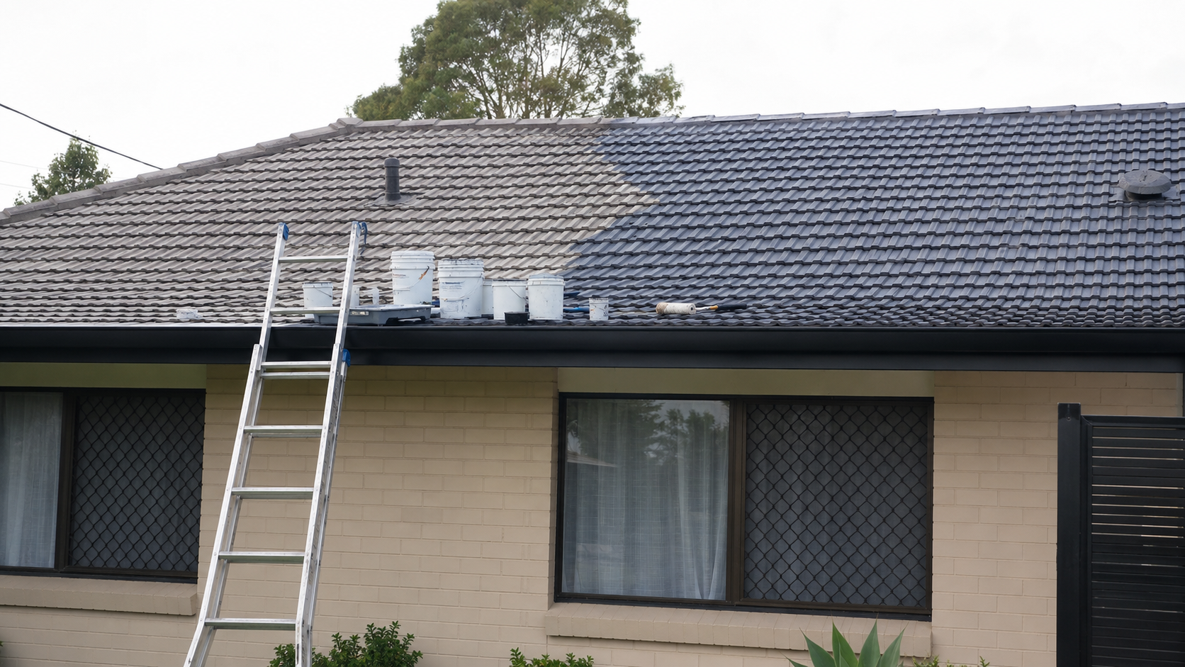Don't DIY Your Roof Restoration