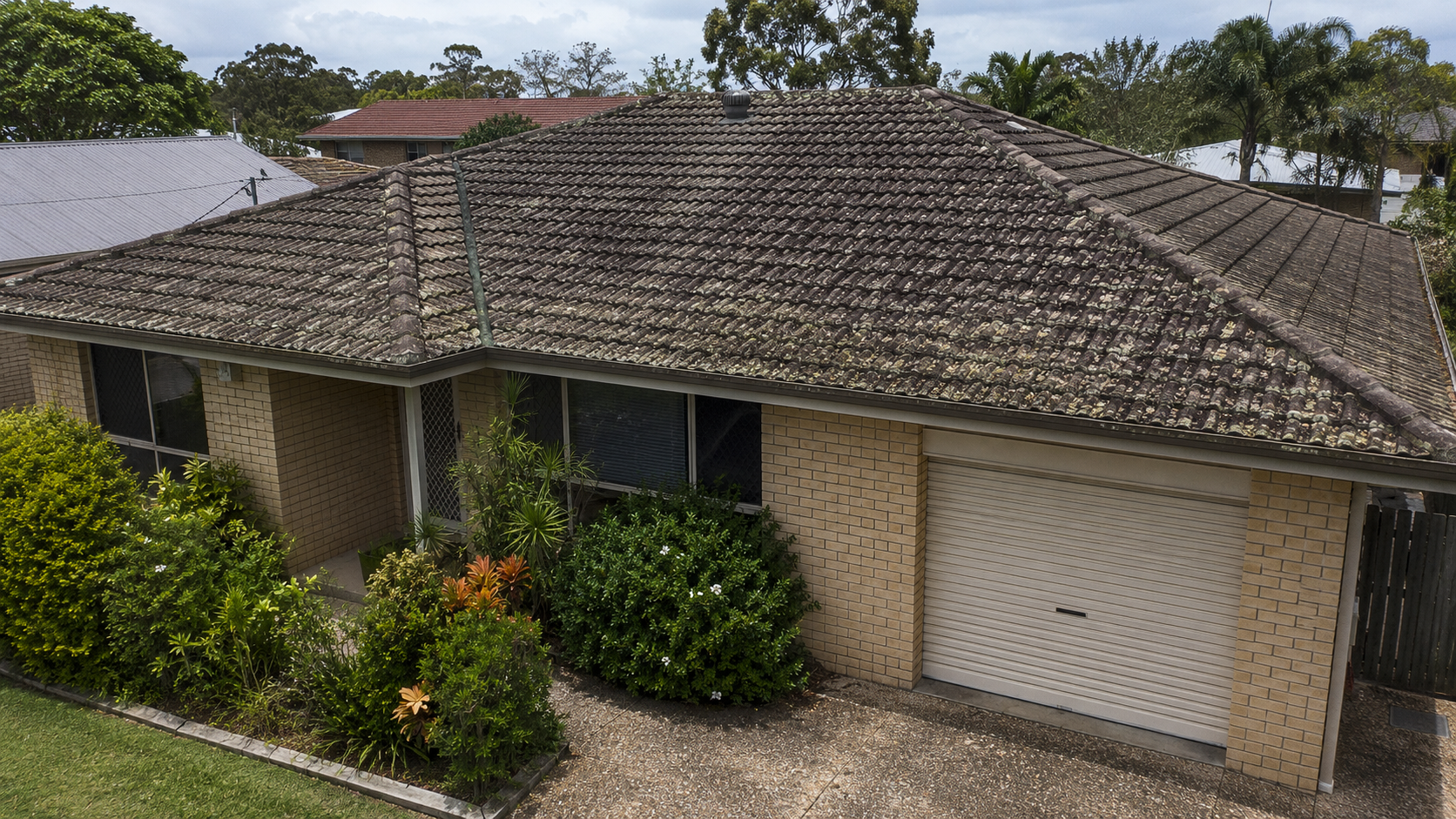 Roof before cleaning